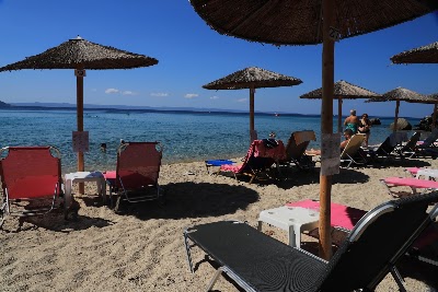 Maui Beach Bar