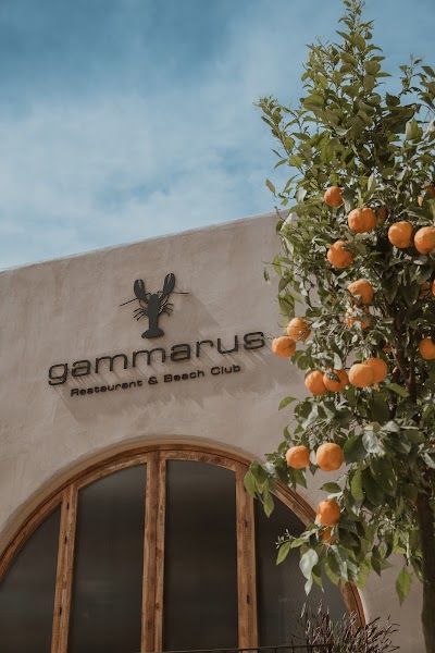 Gammarus Restaurant & Beach Club