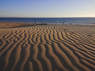 Lido Otello