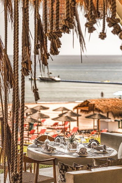 Banana Casa Playa