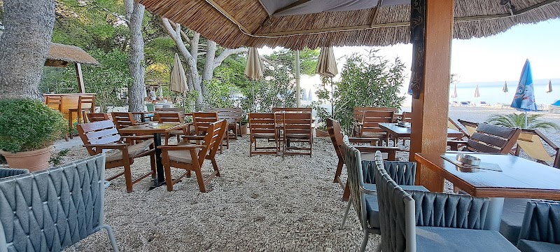 Beach Bar 5 Element