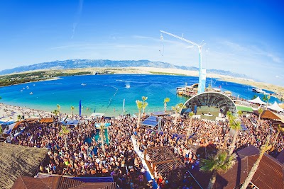 Papaya Club