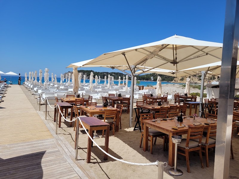 Blue Marlin