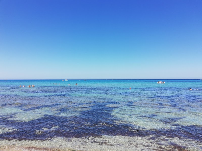 Tropical Beach